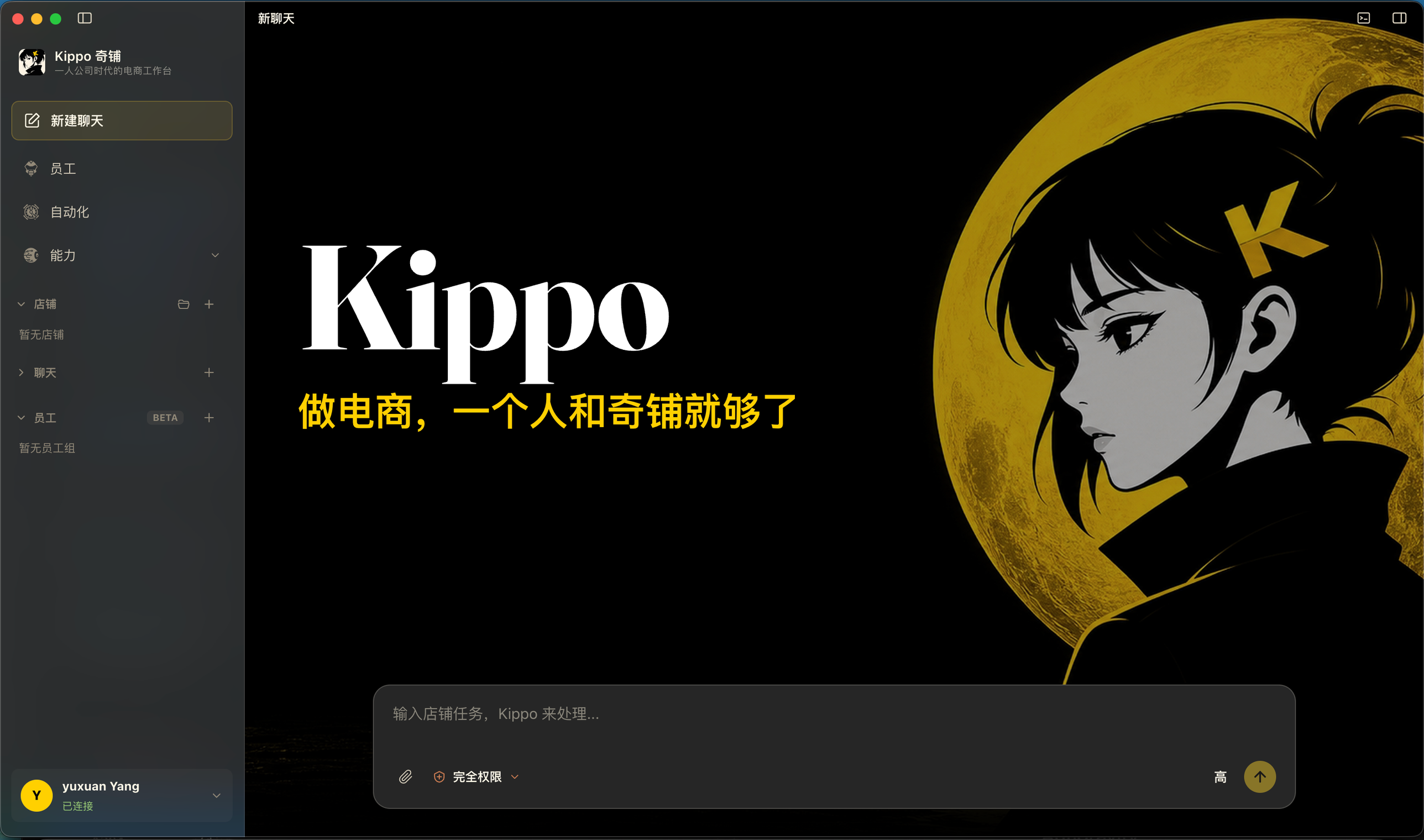 Kippo 桌面端 — 项目记忆与技能